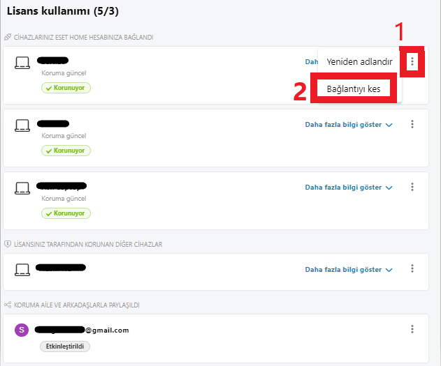 Cihaz satırındaki üç nokta menüsü ve Bağlantıyı Kes seçeneği